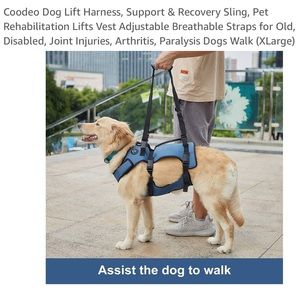 Coodeo dog lift harness